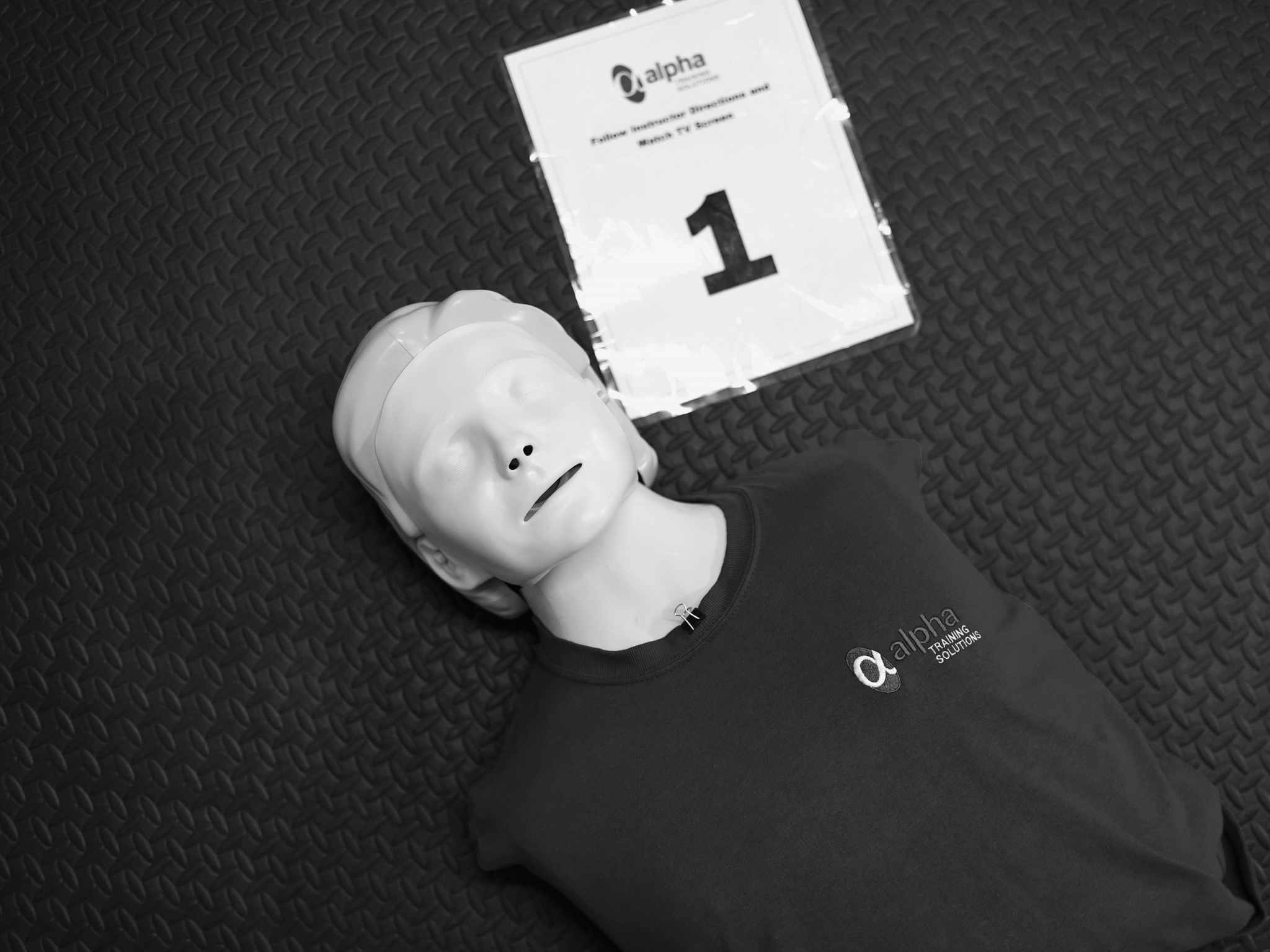 Courses alpha training solutions ltd 